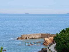 -小麦岛公园