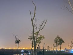 -春花秋色城市公园