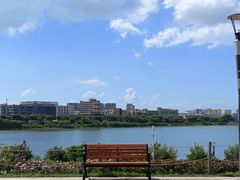 -立新湖公园