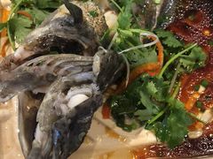 石斑鱼-盒马鲜生(悦峰店)