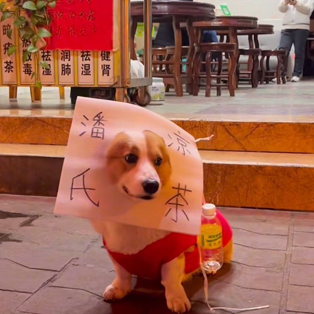 还有人没看过这个凉茶狗嘛?
太搞笑了.