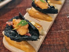 海胆配香脆米片-TOMATITO(无限极荟店)