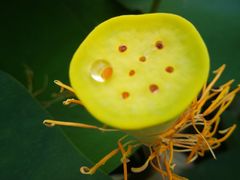 -BHG Market Place(水游城店)