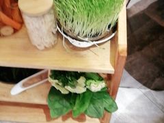 -好彩猪肚鸡(正弘城店)