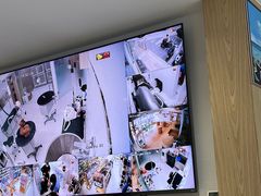 -鼎级派宠物(中南店)