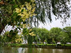 -扬州大学(扬子津校区)