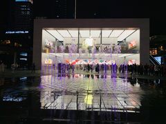 -Apple零售店(成都太古里店)