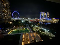 -新加坡文华东方酒店