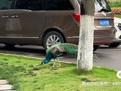 -西昌邛海宾馆