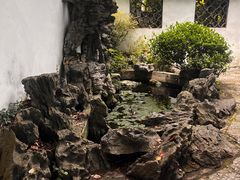 -上海醉白池公园