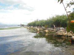 -才村湿地公园