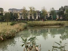 -两河城市森林公园