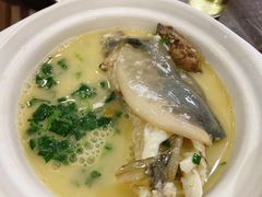 上汤河豚-溱湖八鲜菜馆