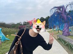 -秀丽东方