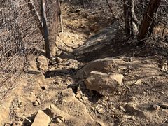 -北京西山国家森林公园