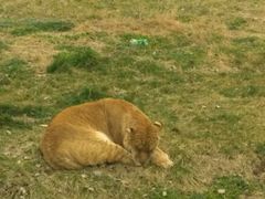 -西安秦岭野生动物园