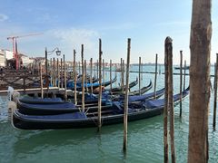 -圣马尔谷圣殿宗主教座堂