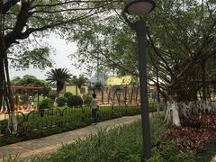 -南宁花花大世界景区