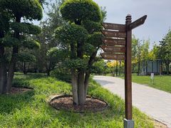 -西海子公园