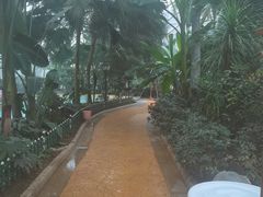 -麦积山温泉
