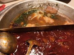 -小龙坎火锅(春熙太古里店)