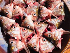 -章记正宗南岗鱼蛋火锅