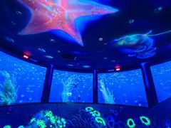 -沈阳海洋探索中心