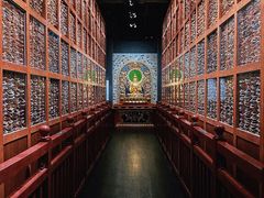 -青海藏文化博物院