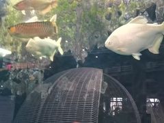 -弘安丽水温泉酒店