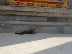 -查龙寺