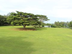 -美国纪念公园