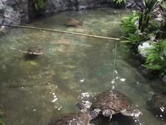 -北海·海洋之窗