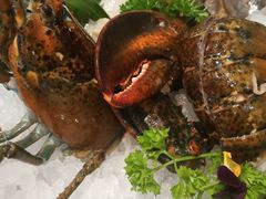 -蓝钻·国际美食海鲜自助百汇(西直门店)