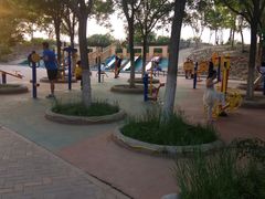 -大兴滨河森林公园