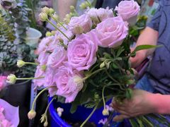 -花鸟鱼虫鲜花绿植市场(玉泉路店)