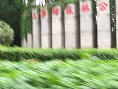 -大屏嶂森林公园