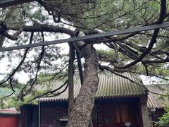 -红螺寺