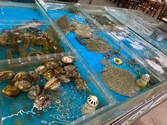 水产区-87号烧烤海鲜·大排档(金沙滩店)