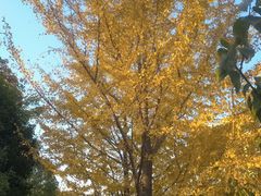 -苏州河梦清园环保主题公园