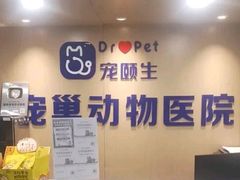 -宠颐生宠物医院·异宠猫科内科·诊疗中心宠巢店