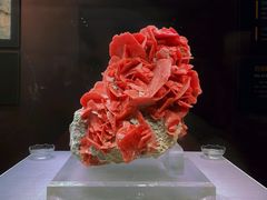 -湖南省地质博物馆