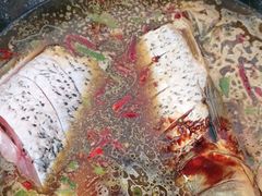 -庆岭迎宾园正宗活鱼馆