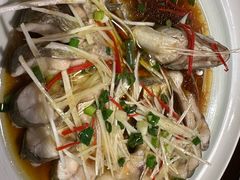 -WILDS 野有食(碧坞店)
