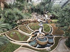 -南山植物园