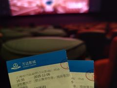 -万达影城(闵行颛桥万达广场杜比影院店)