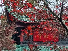 -岳麓山风景名胜区