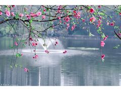 -重庆彩云湖湿地公园