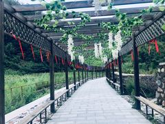 -九龙潭景区