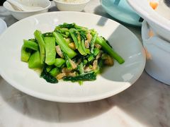 油渣凤尾菜-淮扬韵(文景路汉神店)
