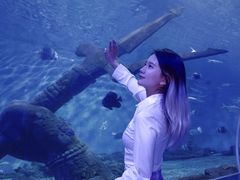 -多彩贵州城极地海洋世界